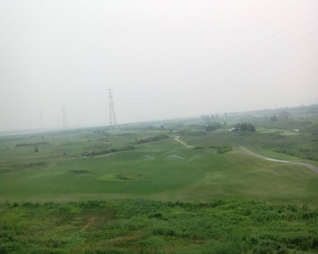 西安渭河风景,西安渭河草滩