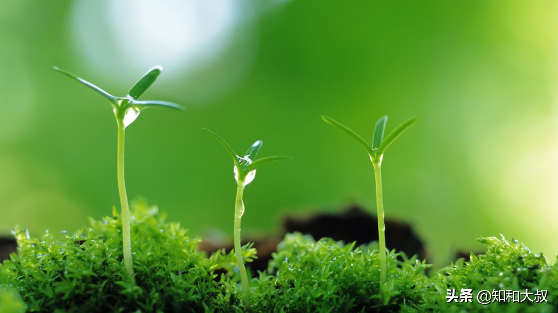 不哭不闹的女人才让人害怕,不哭不闹的女孩反而没人疼没人爱