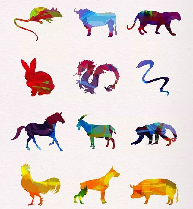 十二生肖排序2019年属什么的,十二生肖排序表2021年属什么生肖