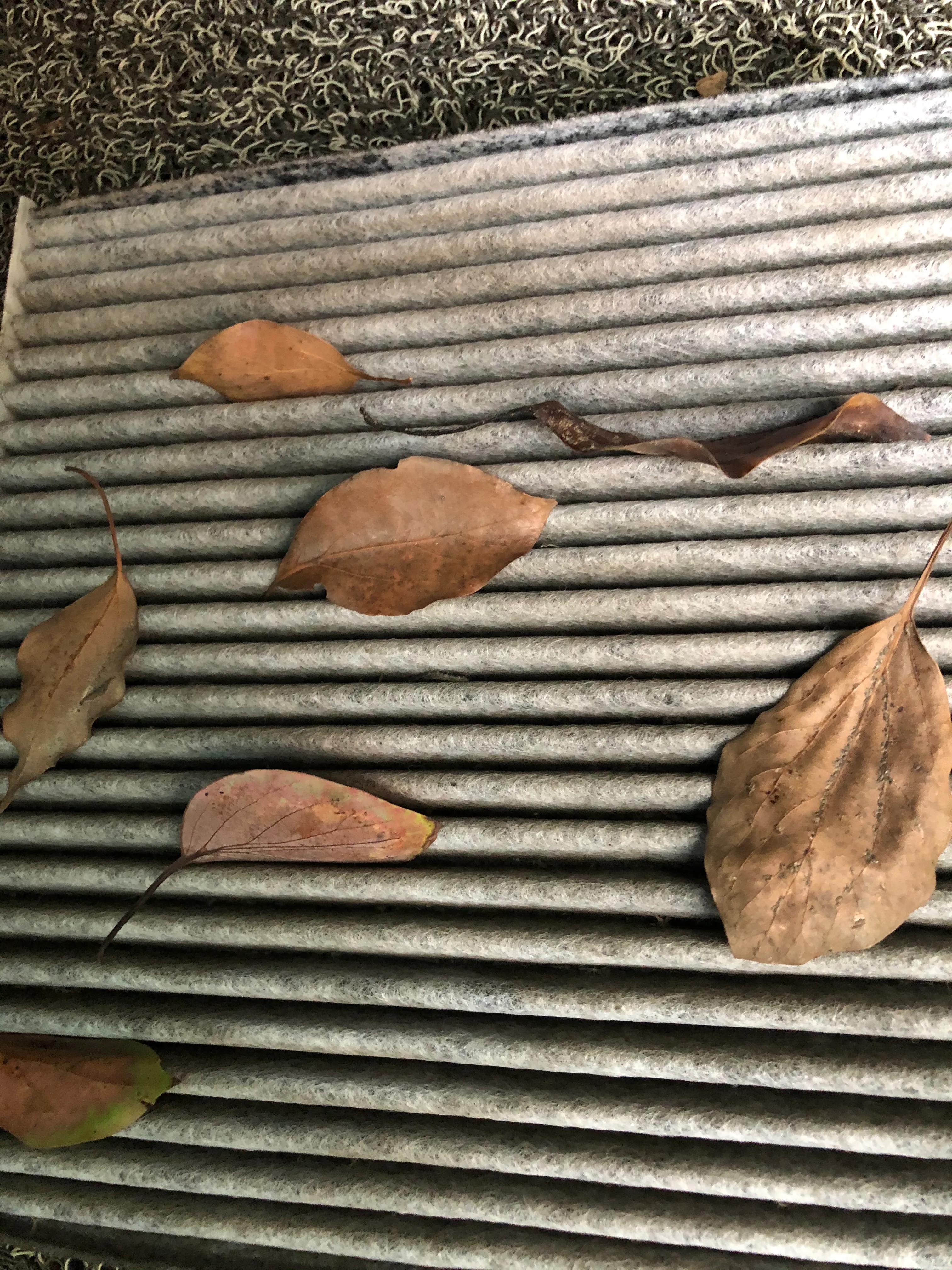 空调滤芯更换教程探岳,空调滤芯更换教程福特