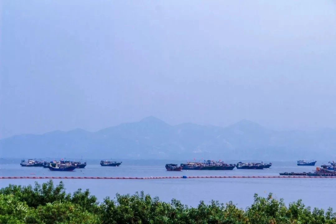 深圳这27个热门游玩地，坐2号线全都能到