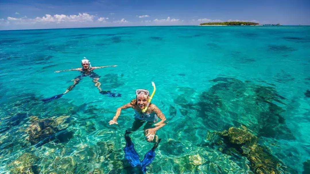 来这里认识世界全文,来这里认识世界完整版