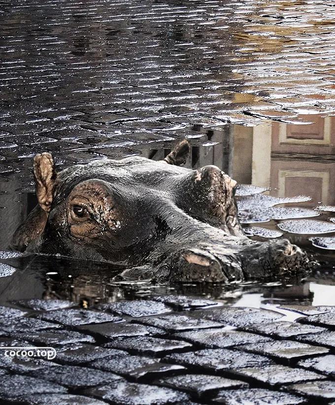 设计师如何快速找客户,设计师如何快速创业