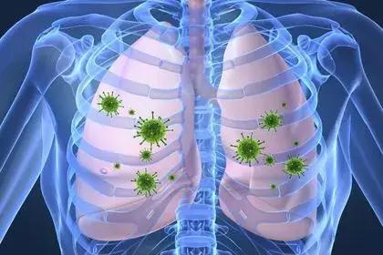 益生菌与呼吸道感染
