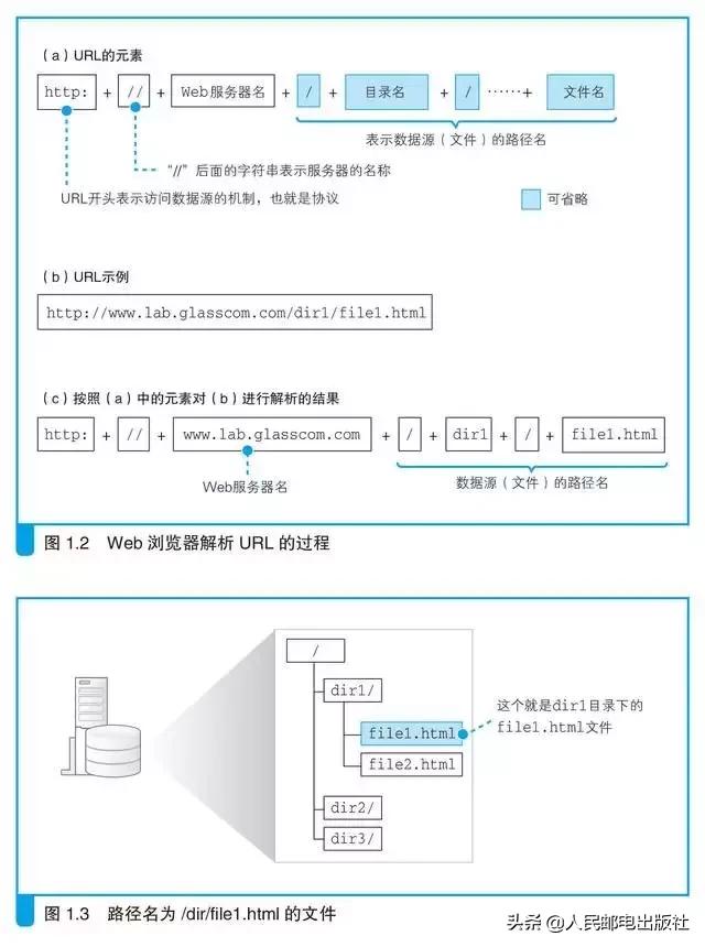 一招教你学会连接网络,浅谈网络是怎样连接的