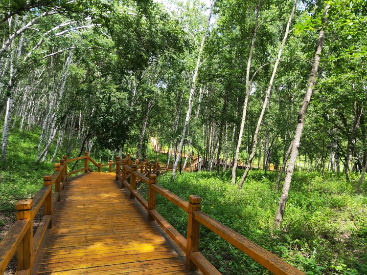 美丽的高岭塞罕坝,美丽的高岭朗诵