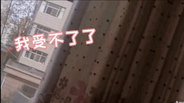 假期在家看电视剧,放假在家看什么剧集