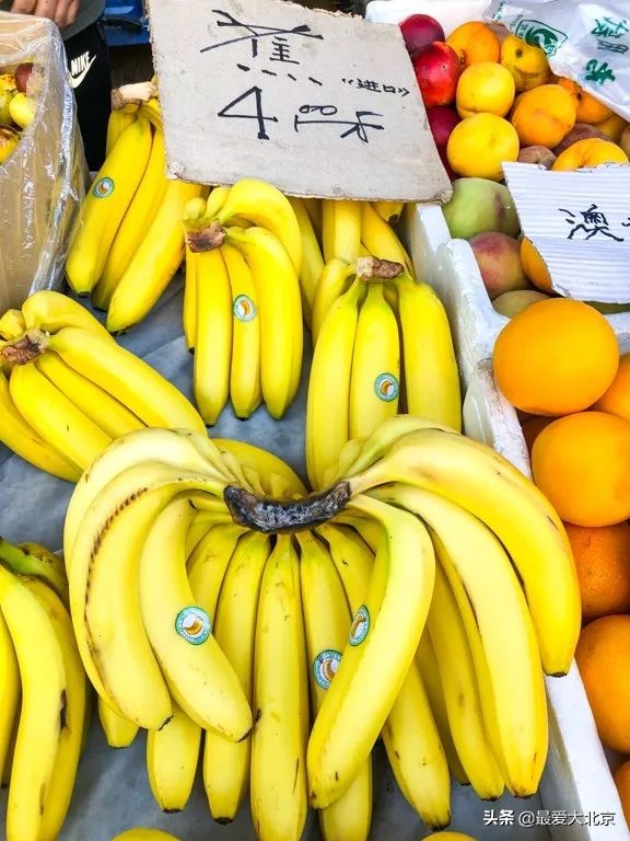 最便宜的早市品种,北方早市有哪些品种