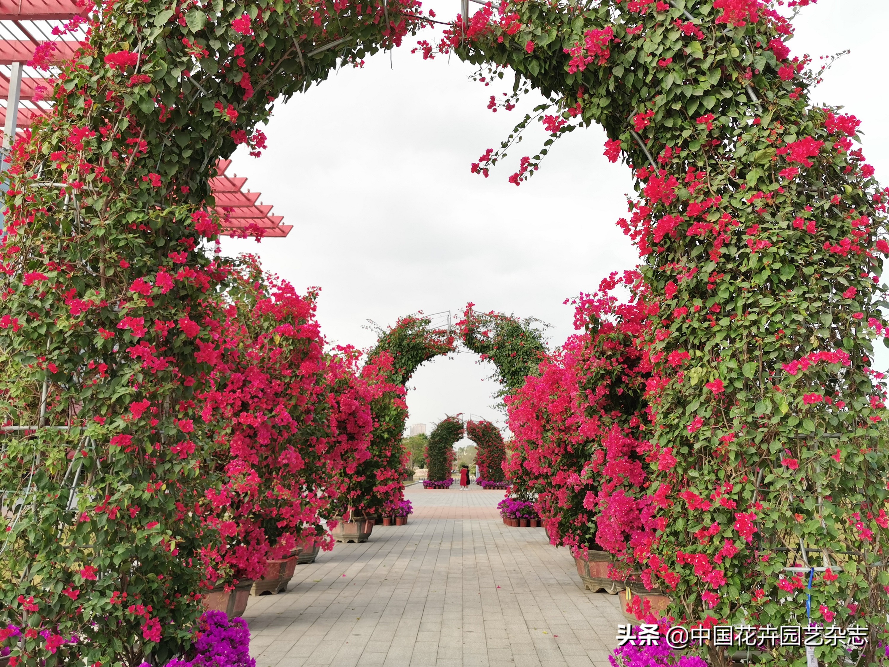 为产业发展提振信心注入新动能,为激发市场活力添动能