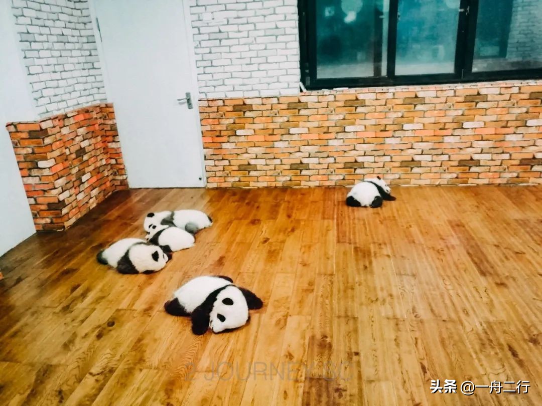 成都二三五科技有限公司,成都二三里