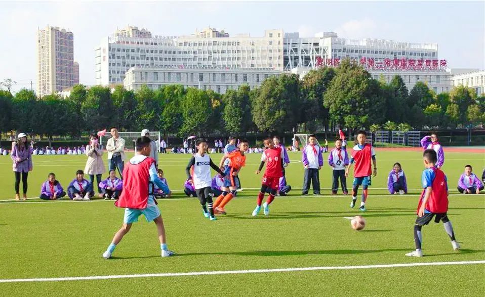 多元途径升学,多元升学路径2018