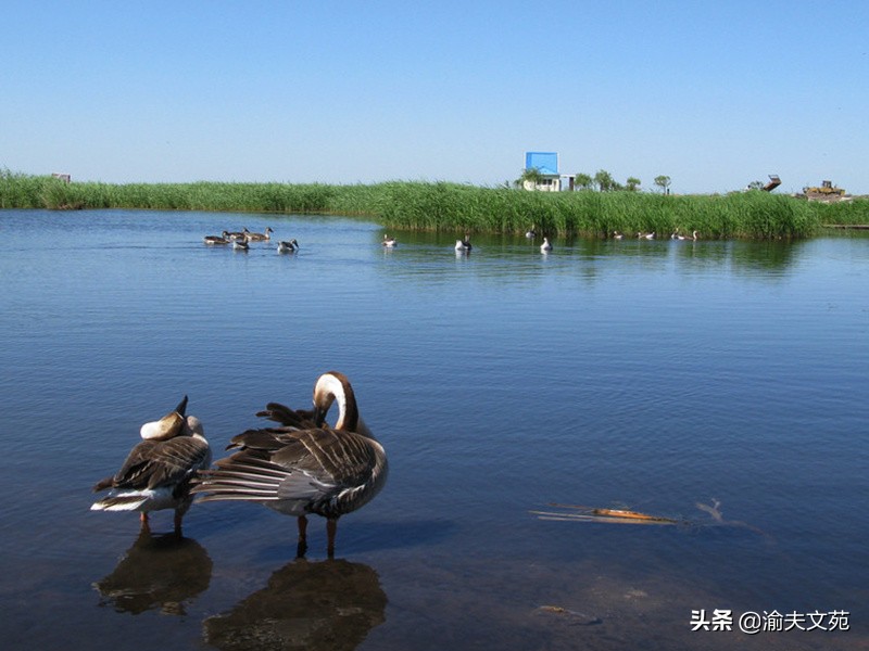 璧伴亶澶уソ娌冲北鏃呮父,璧伴亶娌冲北