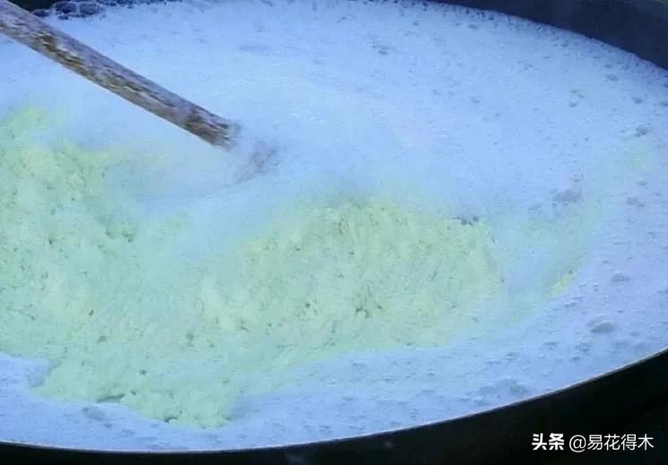 舍利干柏盆景造型,舍利干盆景怎么样