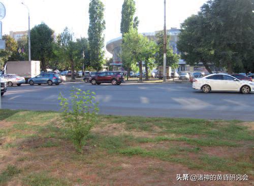 七月飞火-100张珍贵图片中的1942年沃罗涅日血战今与昔（上）