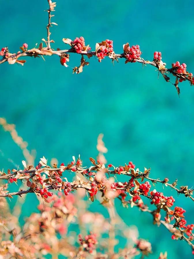 九寨沟路上招手,前方到站宁强