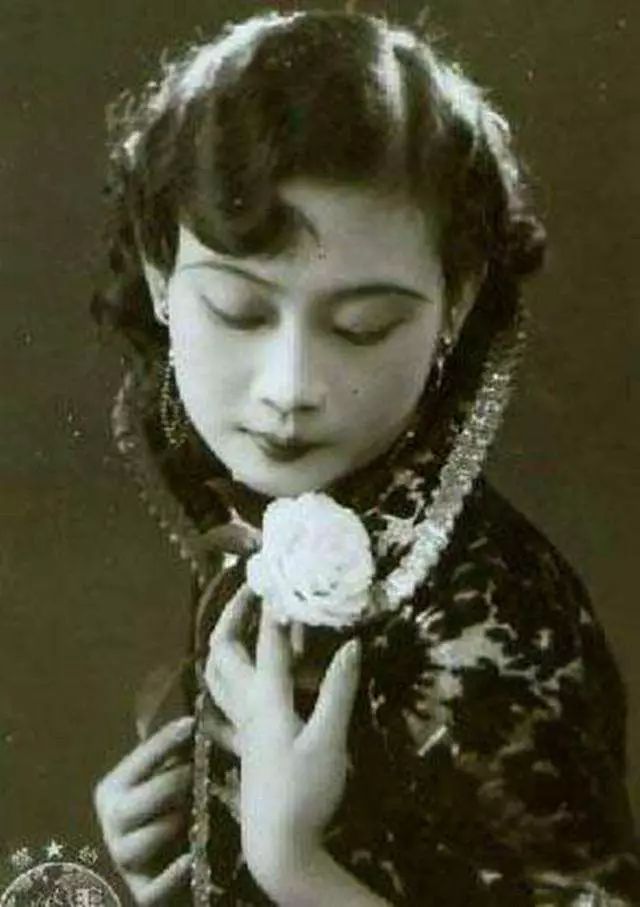 整成网红脸,为什么明星喜欢整成网红脸