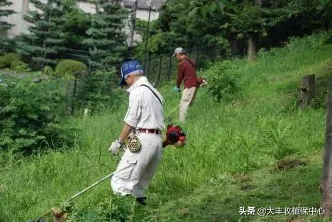 怎么除草又快又省力,除草用什么方法最省钱