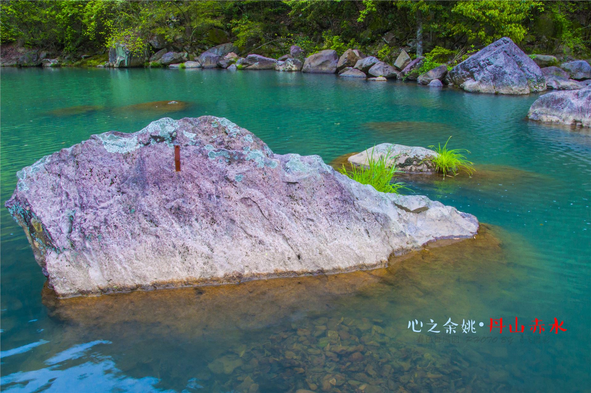 丹山赤水的老柿林景区,丹山赤水柿林古村