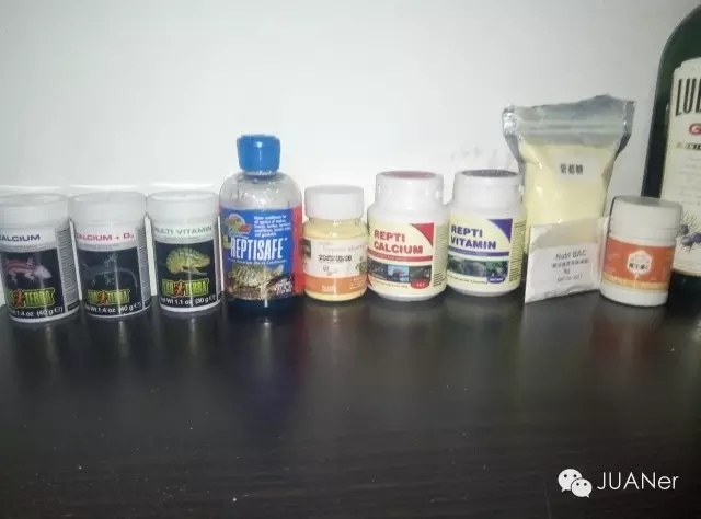 高冠变色龙饲养箱玻璃,高冠变色龙使用注意事项