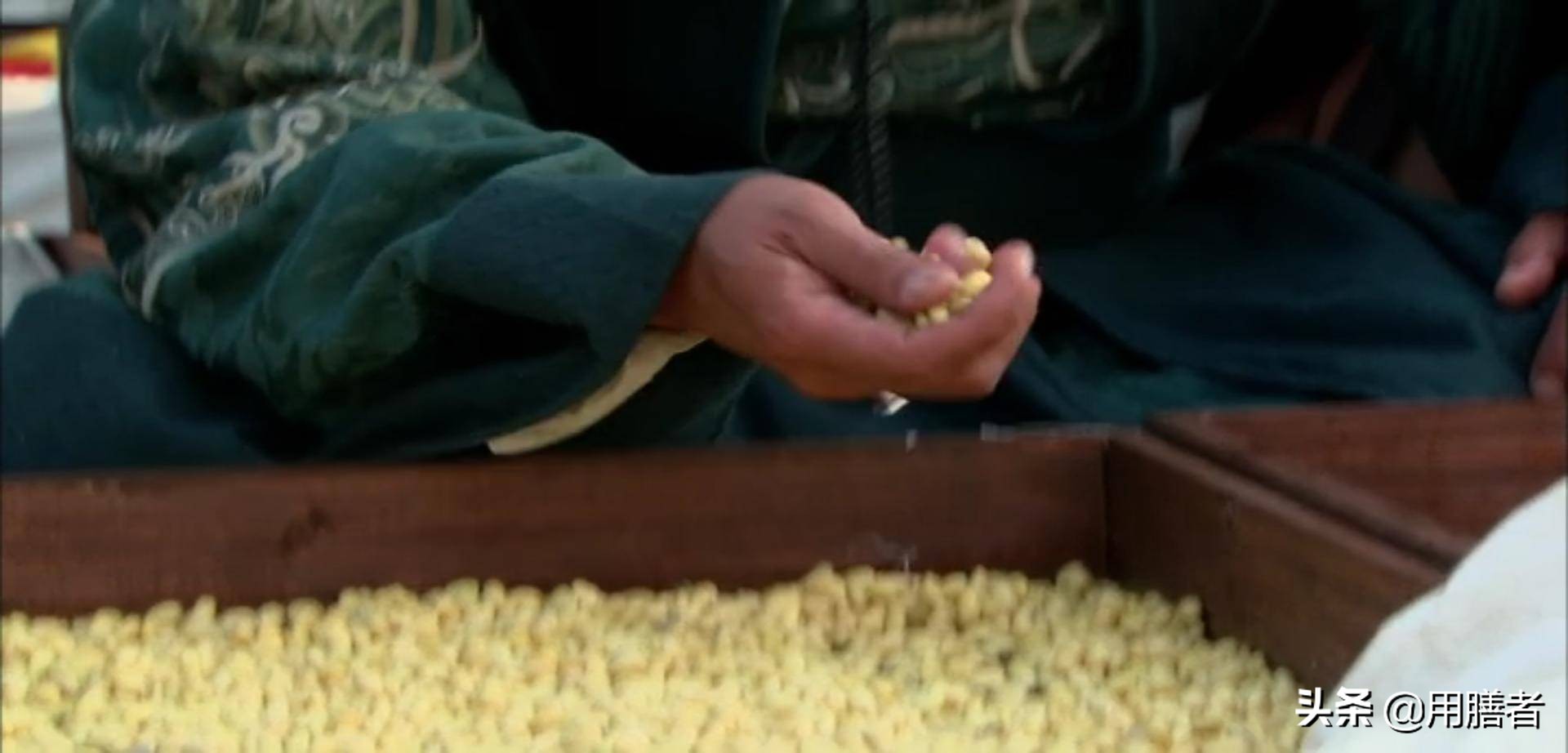 豆芽神奇之处,营养好又美味的豆芽