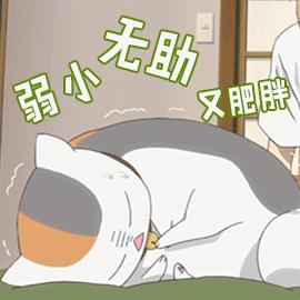 猫一般一顿吃多少猫粮,猫粮和猫罐头怎么吃科学合理