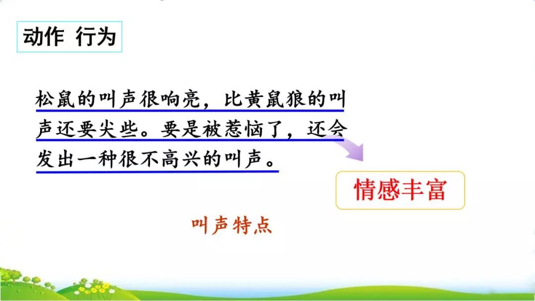 五年级语文第17课松鼠讲解,五年级上册第17课松鼠教材详解