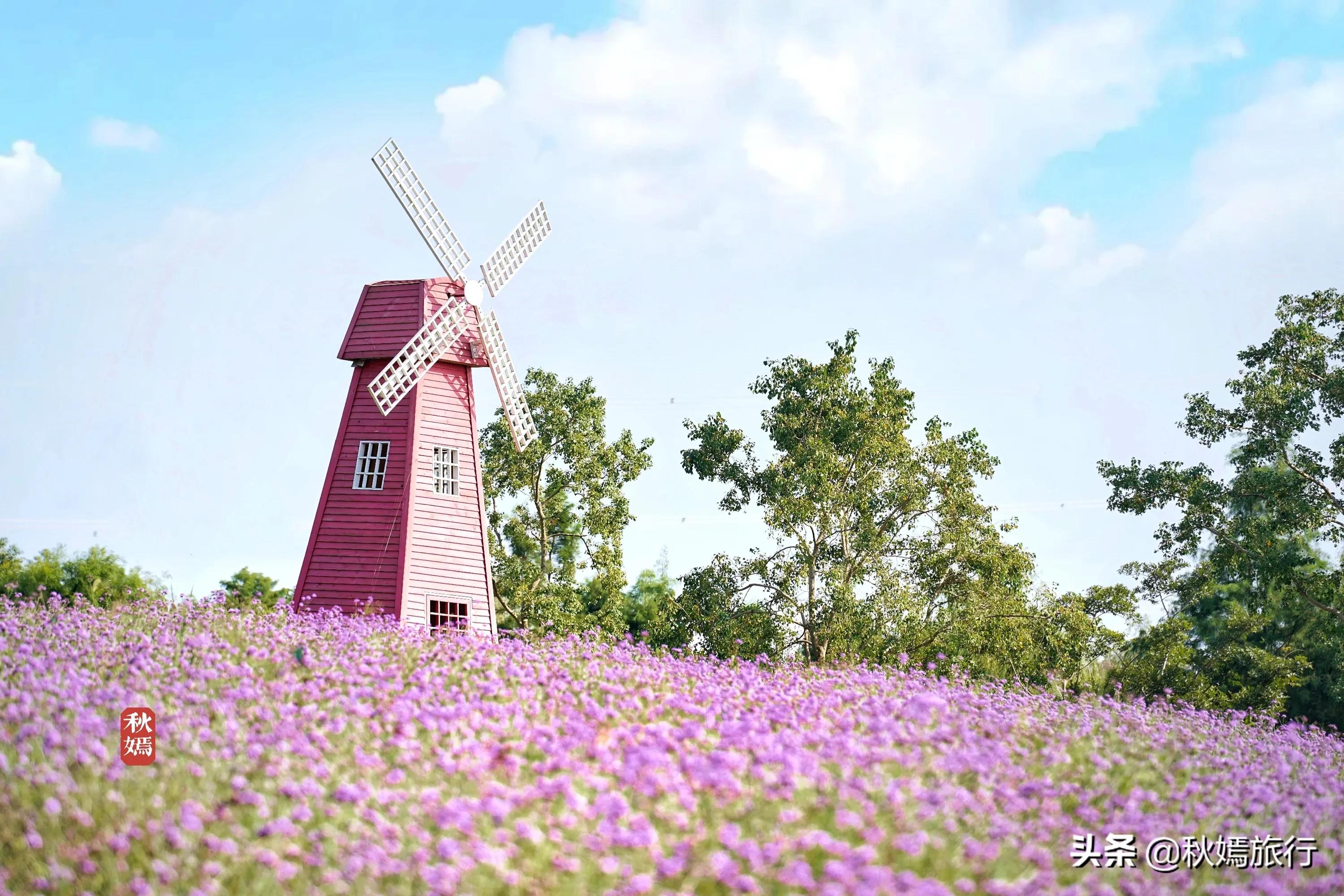 苏州吴中太湖新城苏州湾湿地公园,苏州湿地免费公园虎丘