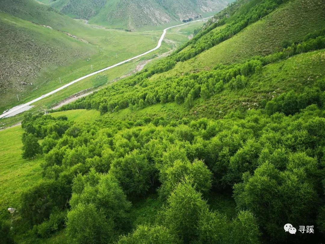 内蒙古大草原自驾游精品线路,辉腾锡勒草原黄花沟旅游攻略