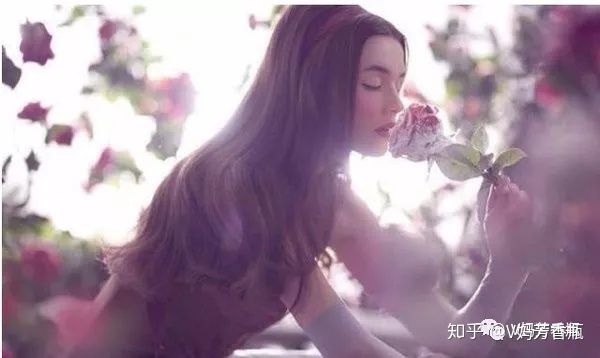 精油的用法大全,精油的100种使用方法