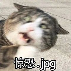 驼峰储水？童话里都是骗人的