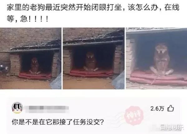 来自外卖小哥的霸道段子,关于外卖小哥的挺火的段子