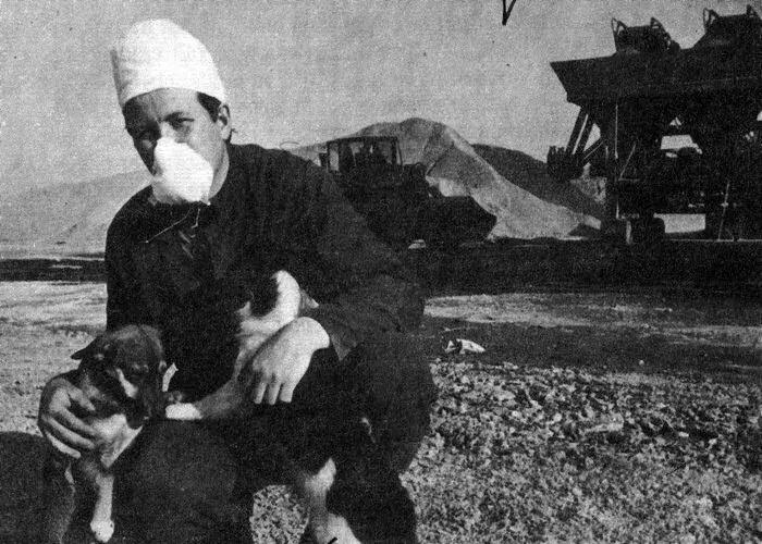 hbo美剧最新灾难片,hbo神剧都有哪些