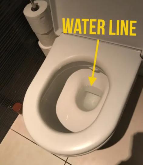 国外马桶为什么不是那么脏,马桶会溅水为什么外国人还用