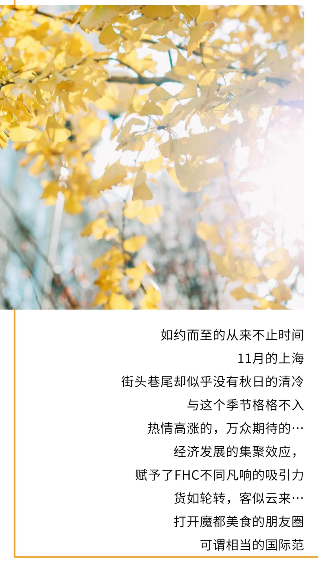 汇聚“世界名流”，绽放本土异彩！FHC自信而来