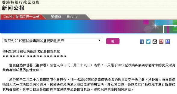 宠物新冠阳性后吃什么药,宠物检测新冠阳性准确吗