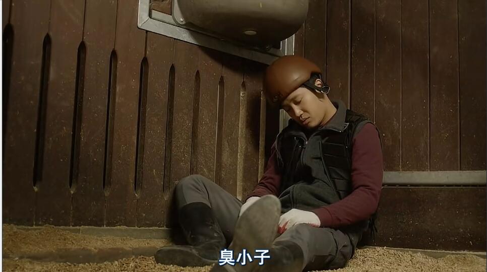 一人一马攀登高峰望故乡完整版,一人一马励志电影