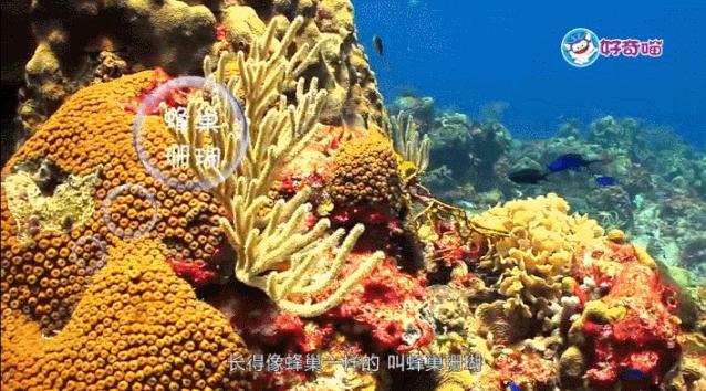 免费益智早教0-3岁早教启蒙app,三岁儿童早教益智app