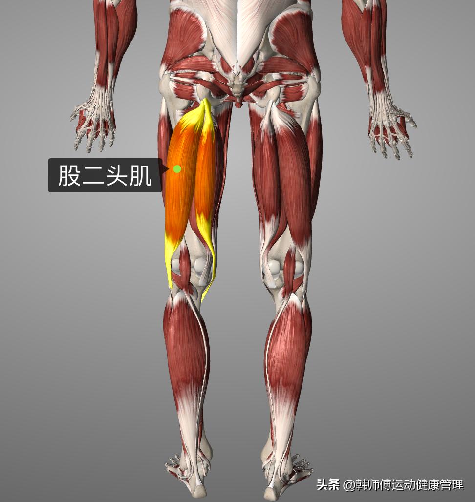 足球准备活动膝关节练习,足球运动员增强膝盖稳定性训练