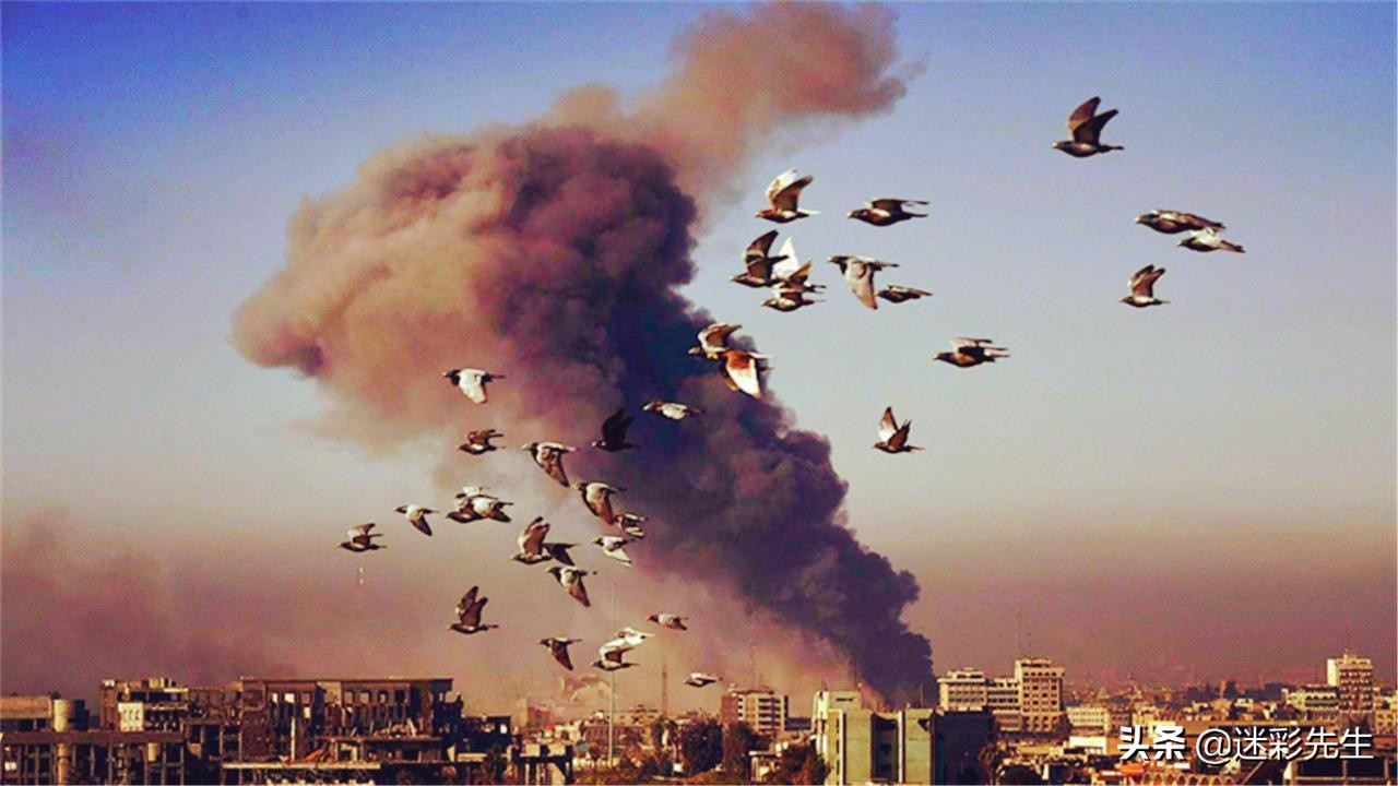 加沙民众挥舞国旗欢呼庆祝,加沙庆祝以色列胜利