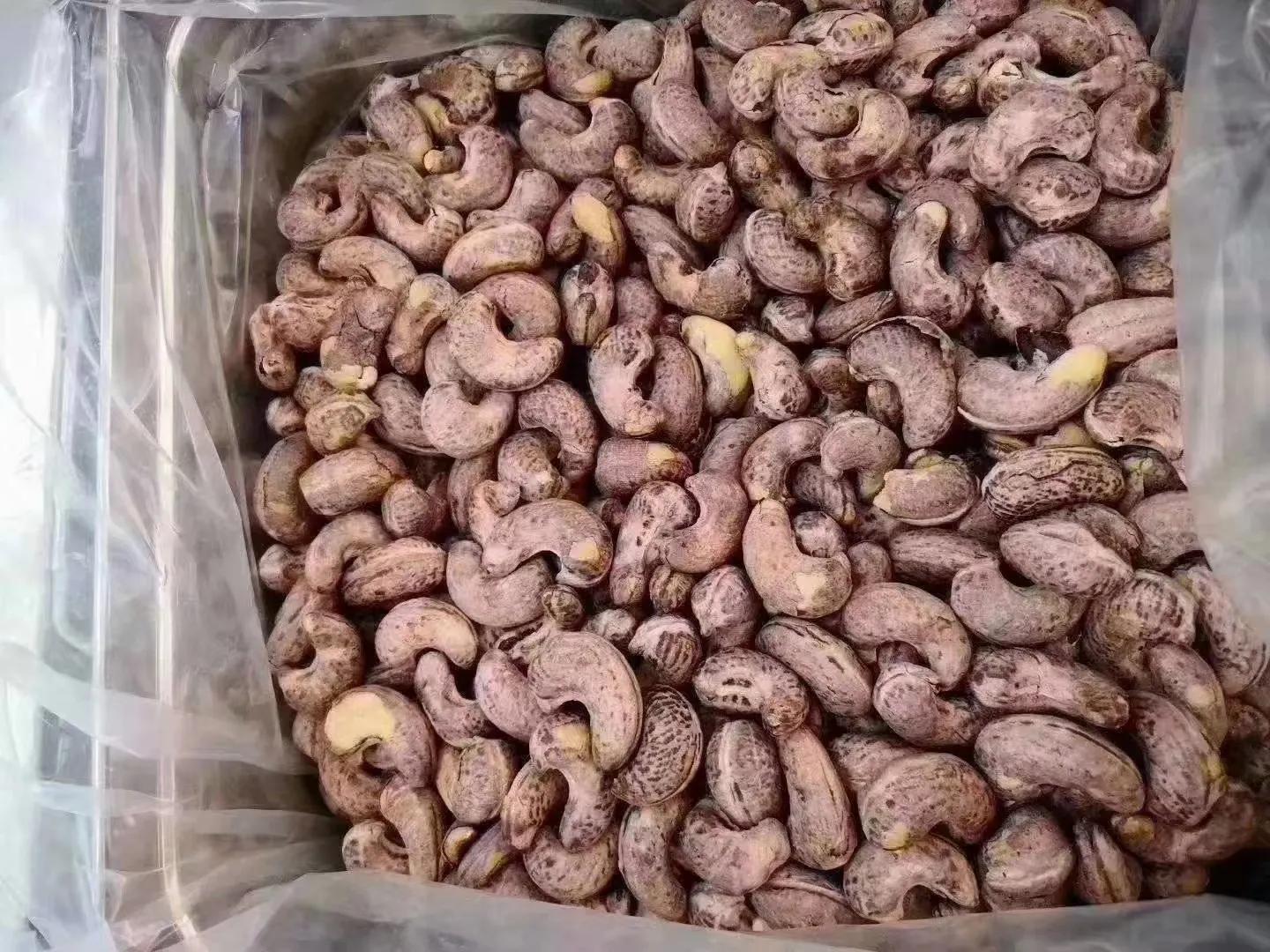 鐤嗘灉鏂版灉鐗逛骇,鏂扮枂骞叉灉