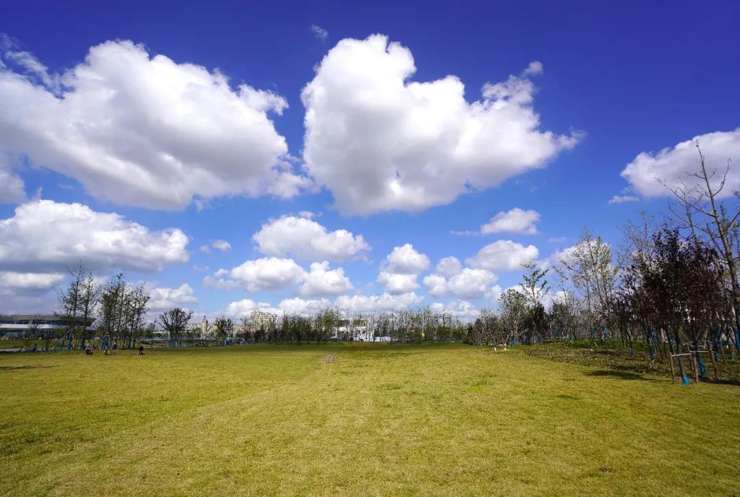 盐龙公园健身项目有哪些,盐龙体育公园室内