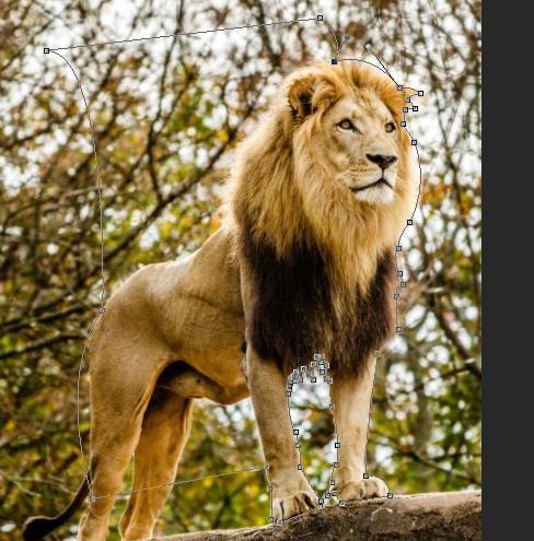 ps中如何从3d模式切换成图层模式,ps合成叠加图片3d效果