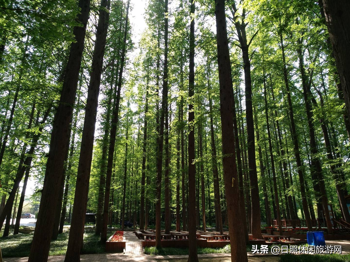 江苏去山东日照旅游攻略,日照到江苏自驾游最佳路线