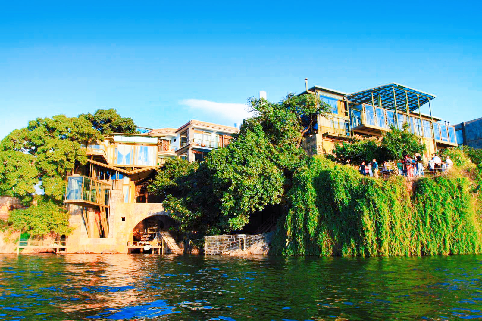 杨丽萍花3千多万,杨丽萍出场费多少钱一次