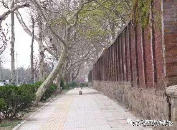 沧口记忆,沧口海军大院的记忆