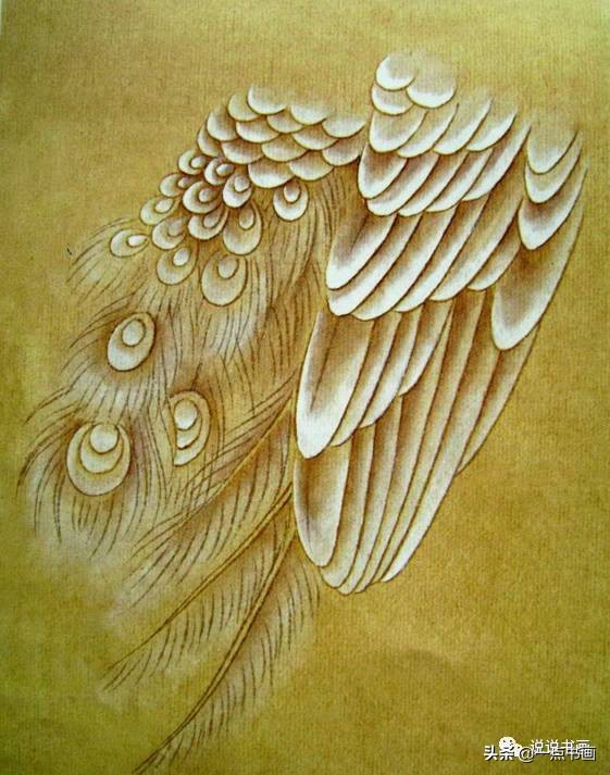 工笔国画孔雀画高清大图,工笔孔雀的画法步骤