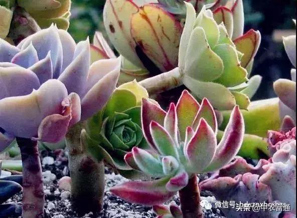 忻州保德好玩嘛,山西保德去哪玩