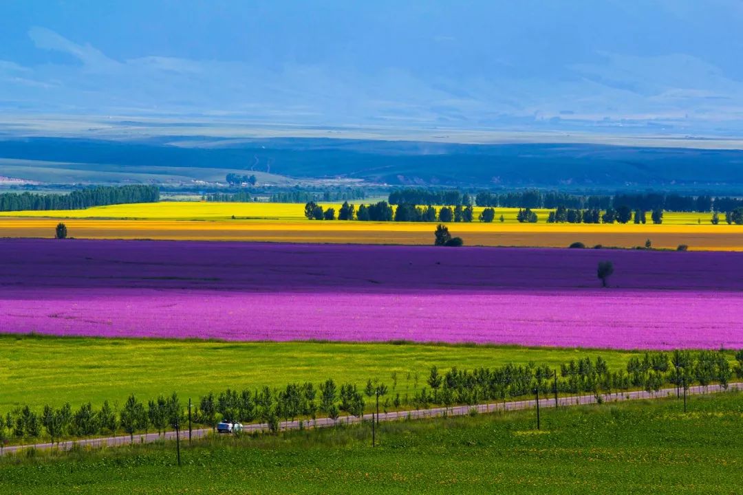 夏天的北疆美景,六月的北疆有多美