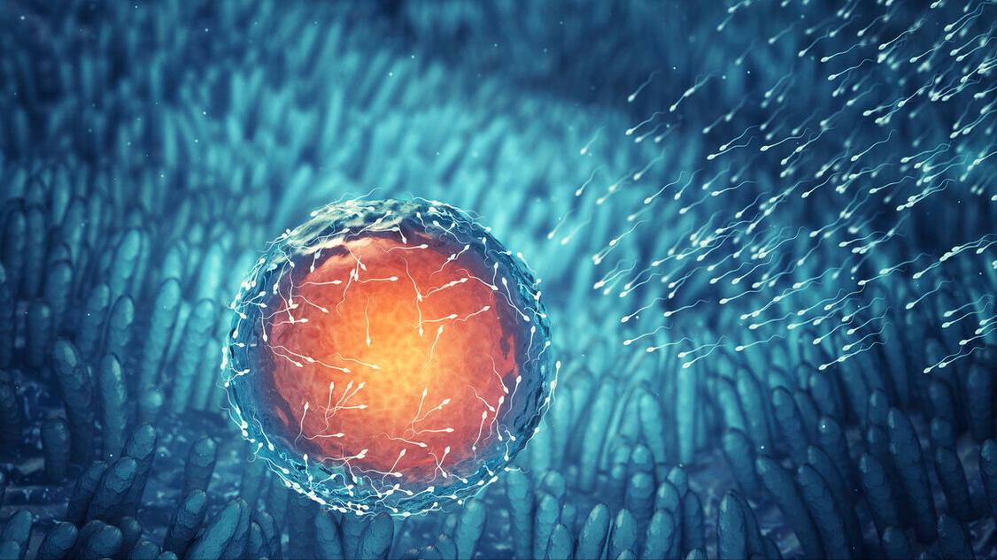 喝鱼腥草茶能预防卵巢早衰,卵巢早衰的原因及表现症状有哪些