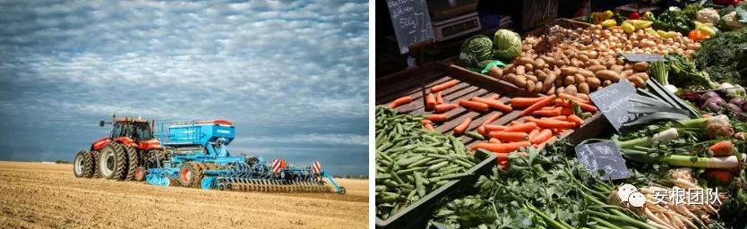 茶人学习:欧洲国家农民合作社融资实践